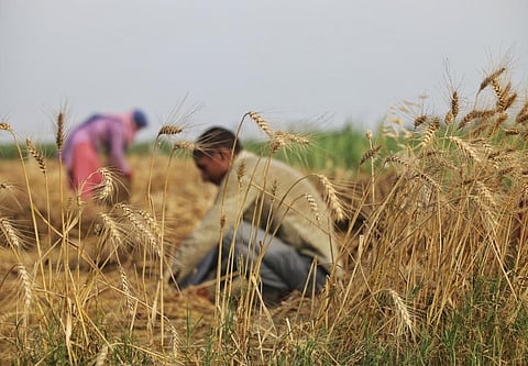 Five-fold rise in farmer protests in India since 2017: CSE analysis