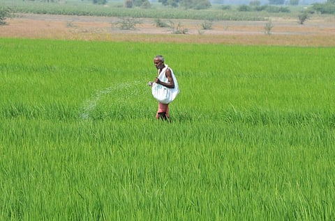 Centre wants to ban a host of pesticides: Here’s why