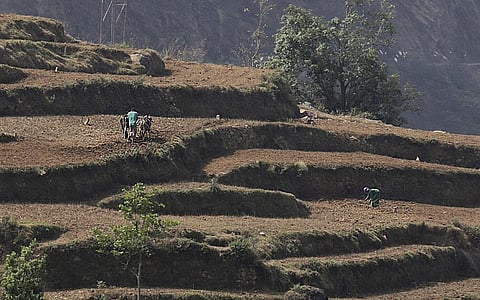 फोटो: विकास चौधरी