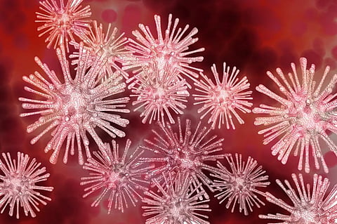 International Day for Biological Diversity 2020: Why viruses are necessary 