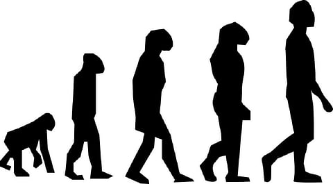 Is intelligent life bad news for diversity? Photo: Pixabay
