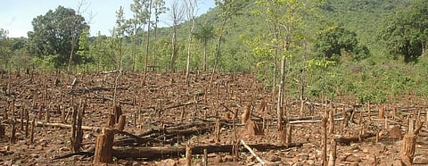 The largest area of forest land was diverted for irrigation and mining projects. Photo: Agnimirh Basu / CSE