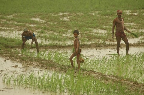 Photo: Agnimirh Basu