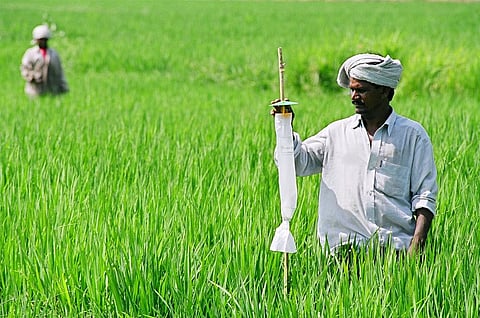 Every day, 28 people dependent on farming die by suicide in India