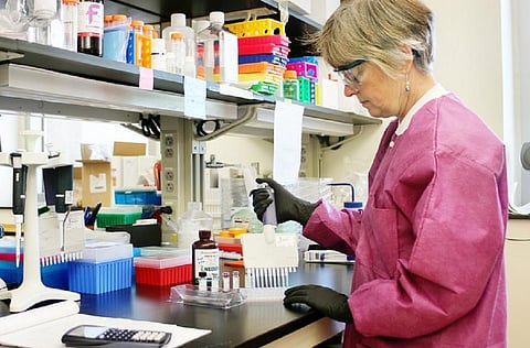 A microbiologist preparing for antibody testing. Photo: rawpixel.com