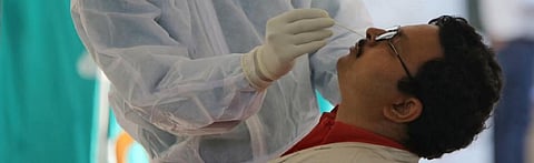 The RT-PCR test involves sticking a swab, similar to an earbud, but uses nylon instead of cotton, deep into the nose or throat Photo: Vikas Choudhary