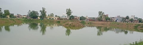 COVID-19: Punjab’s pond cleaning project gathers pace