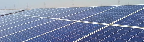Green energy funding delays to offset COVID-19 environmental gains: Study