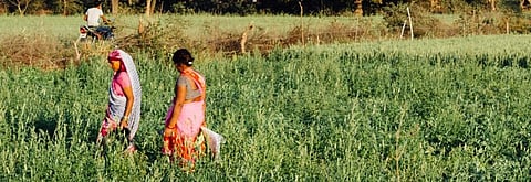 Maharashtra women missed meals during COVID-19 lockdown, finds survey 