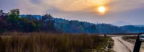 Representative image. The alleged assault on Van Gujjar community took place in Rajaji National Park area on June 16, 2020. Photo: Wikimedia Commons