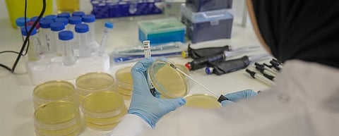 Can game theory help detect drug-resistant bacteria? 