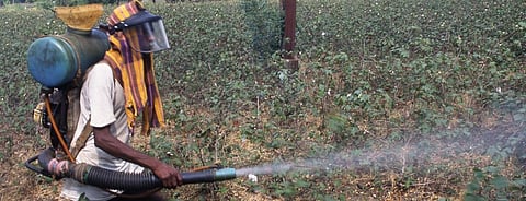 Civil society praises Centre’s draft order banning 27 pesticides