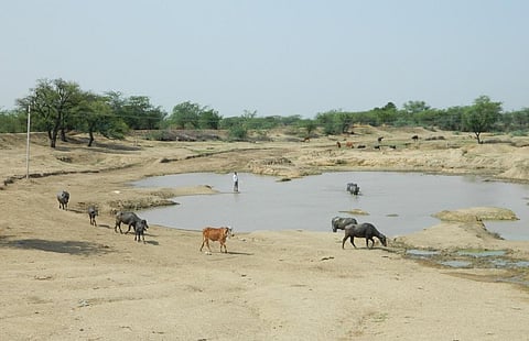राजस्थान के अजमेर जिले का खेड़ा गांव में ग्रामीणों द्वारा बनाया गया तालाब। फोटो: अनिल अश्विनी शर्मा