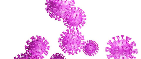 European Union leaders have reached a post-pandemic deal on COVID-19. Photo: Pixabay