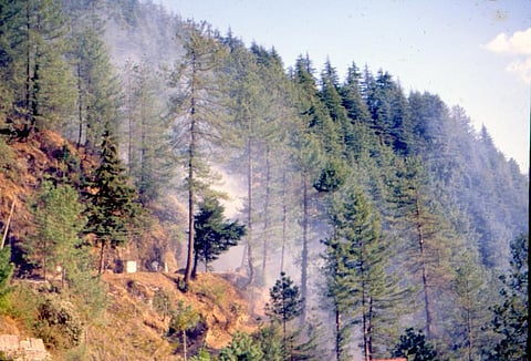 जलते हिमालय के लिए दोषी कौन?