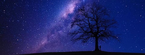 New genealogy project allows astronomers to trace ‘ancestors’