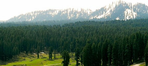 New study sheds light on genetic affinities of Gujjars and Ladakhis 