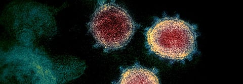 Coronavirus update: Phase 3 trial for Oxford vaccine likely to begin in India August 22