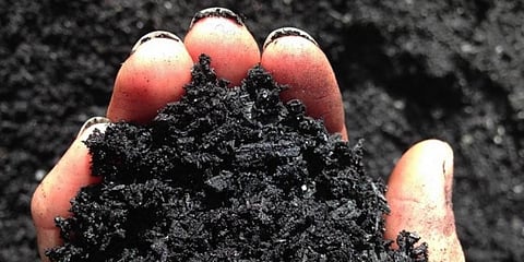 Biochar application can help Ghana’s smallholder farmers fight back climate change: Study