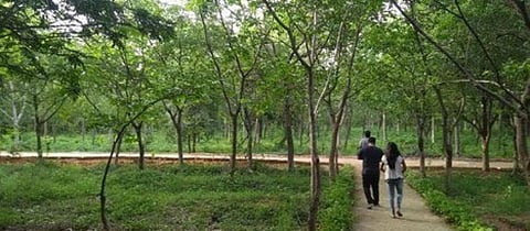 How an urban planner undertook green recovery in Telangana’s 72 ULBs 