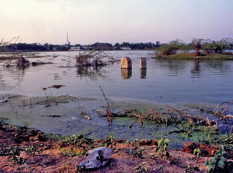प्रतीकात्मक तस्वीर