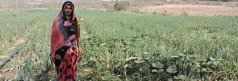 Krishna Mawasi stands in her kitchen garden. Photo: Prateek Kumar