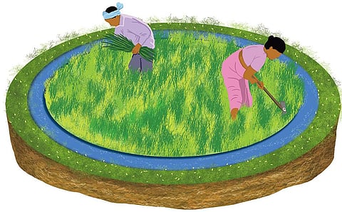 Illustration: Ritika Bohra