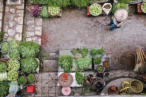 National nutrition week: How kitchen gardens are saving villagers from malnourishment 