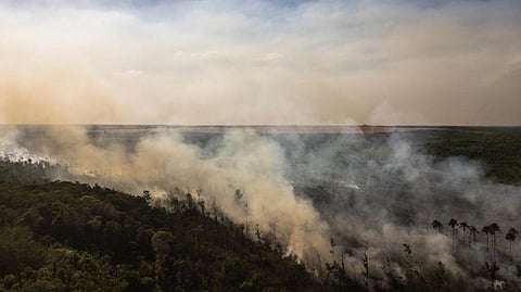 Fight fire with trade: How Europe can help save the Amazon