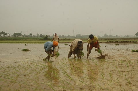 Photo: Agnimirh Basu