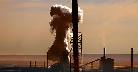 Voluntary carbon markets need integrity as much as growth