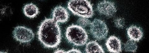 Coronavirus update: COVID-19 cases in India near 5 million mark