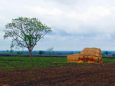 Enhanced food security and soil biodiversity: A climate-positive approach