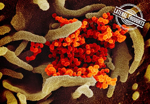 COVID-19: The virus in our genes