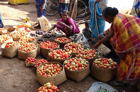 किसान बड़ी तादात में अपनी उपज बेच नहीं पाते हैं। फोटो: सीएसई