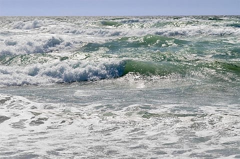 Photo: wikimedia commons