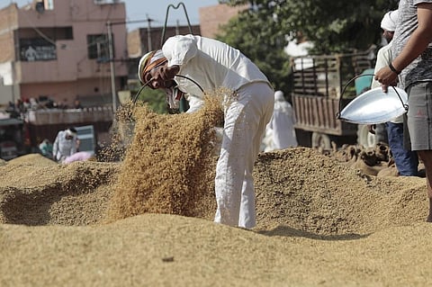 हरियाणा के जिला पलवल की होडल अनाज मंडी में धान की नमी दूर करने का प्रयास करते किसान। फोटो: श्रीकांत चौधरी