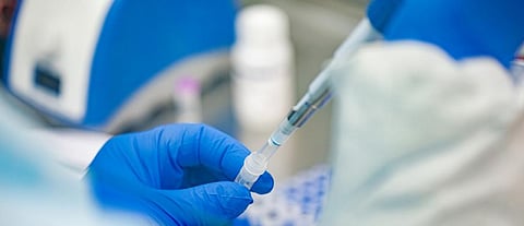 Horse serum may be used for COVID-19 treatment: ICMR D-G  