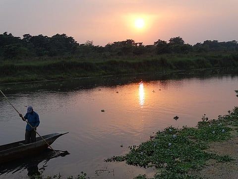 Chitwan National Park, Nepal. World Wide Fund for Nature (WWF) was accused of funding and working with anti-poaching guards who allegedly tortured and killed people in the protected areas (PA) of Nepal in 2019.  