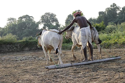 फाइल फोटो: सीएसई