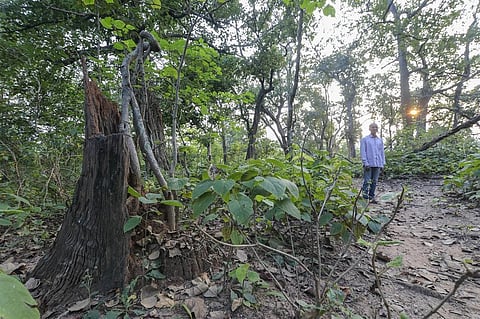फोटो: विकास चौधरी