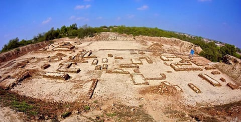 The Harappa archaeological site in Pakistan. Photo: Wikimedia Commons 