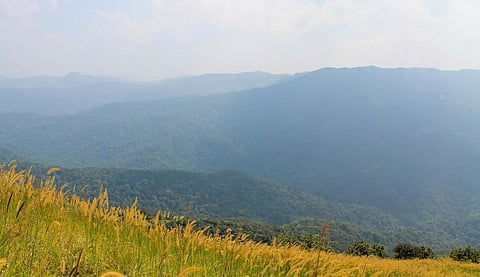 Writing on the wall: Infrastructure projects are destroying Western Ghats 