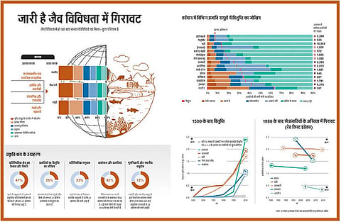 जारी है जैव विविधता में गिरावट