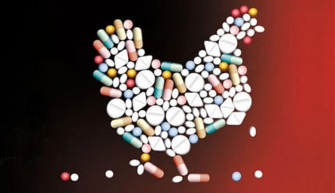 One-Health action is a must to slow down AMR chronic pandemic 