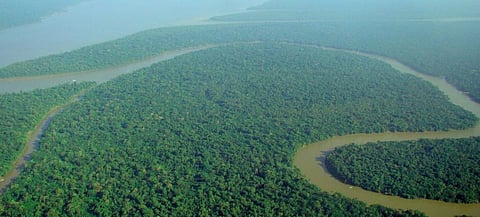 Brazil lost rainforest the size of Jamaica in 2019-2020: Institute