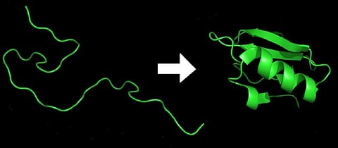 AI makes huge progress predicting how proteins fold – one of biology’s greatest challenges – promising rapid drug development