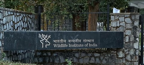 Disengaging with WII should be given rethink, MoEF&CC tells PMO: RTI