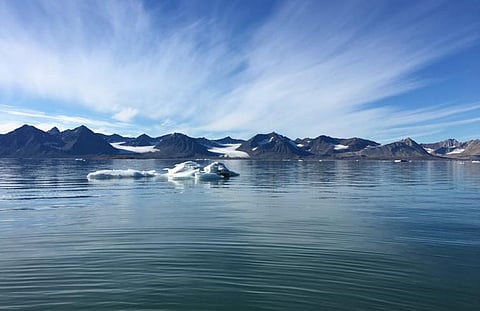 From permafrost microbes to survivor songbirds: Research projects are also victims of COVID-19  