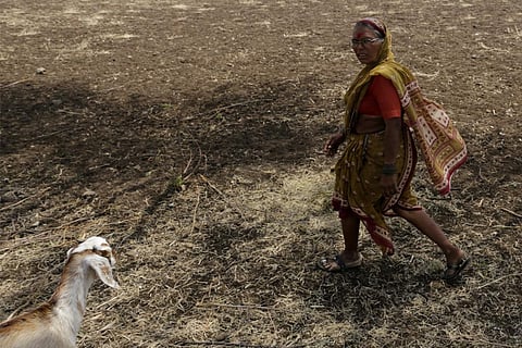 उत्तरी अटलांटिक में आई मौसमी गड़बड़ी के चलते भारत में पड़ रहा है सूखा
